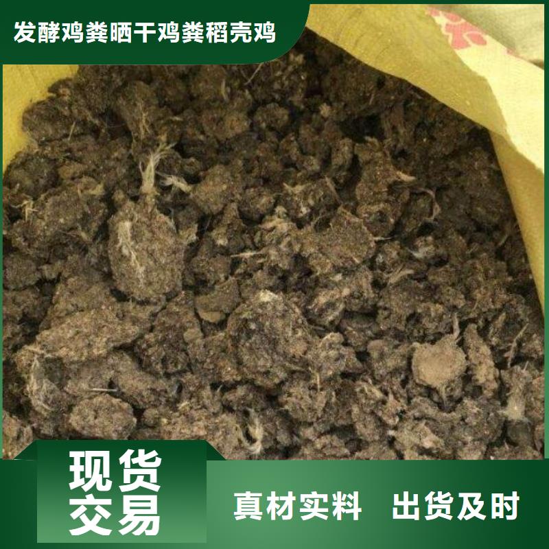 晒干鸡粪怎样用