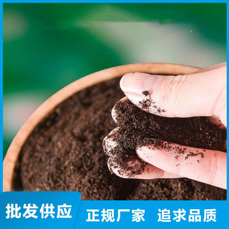 有機(jī)肥促進(jìn)根系發(fā)育