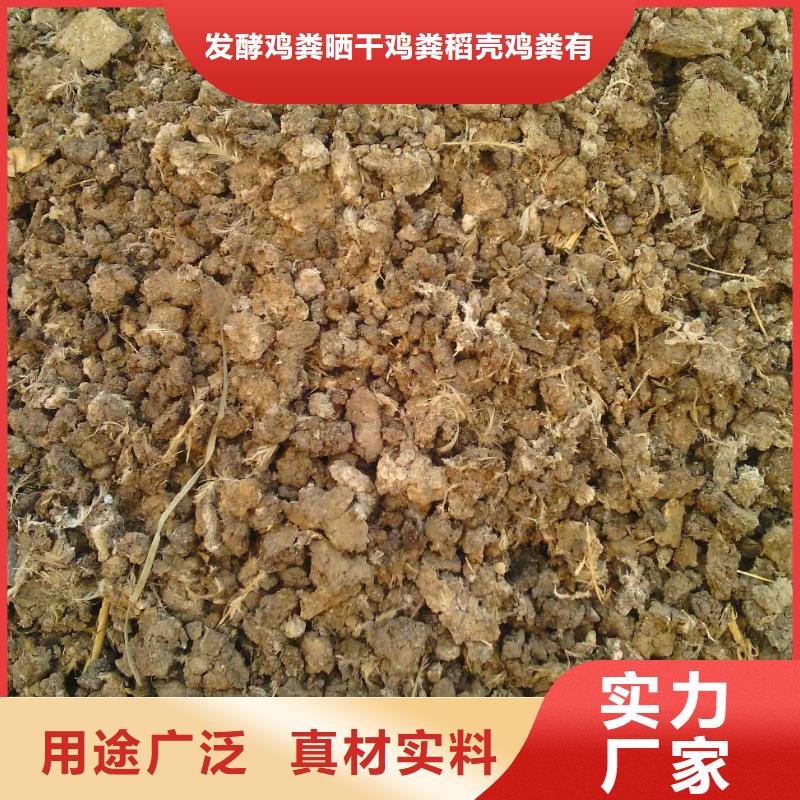 鸡粪有机肥种植户的福音