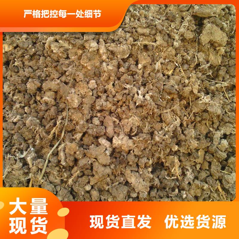 曬干雞糞破除土壤板結(jié)