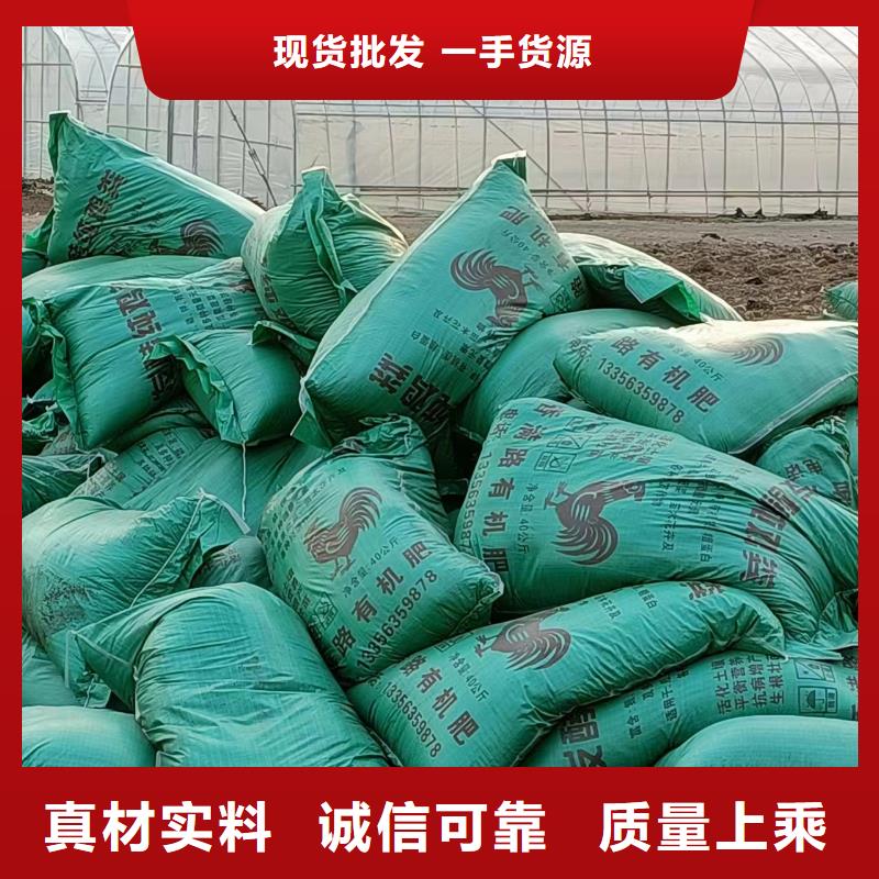 稻殼雞糞肥田壯苗