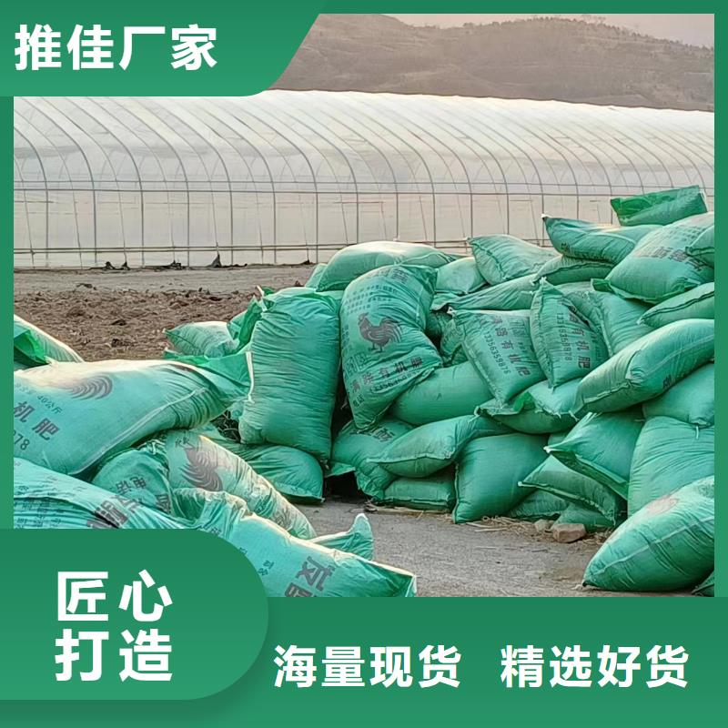 干鸡粪春耕必备农家肥
