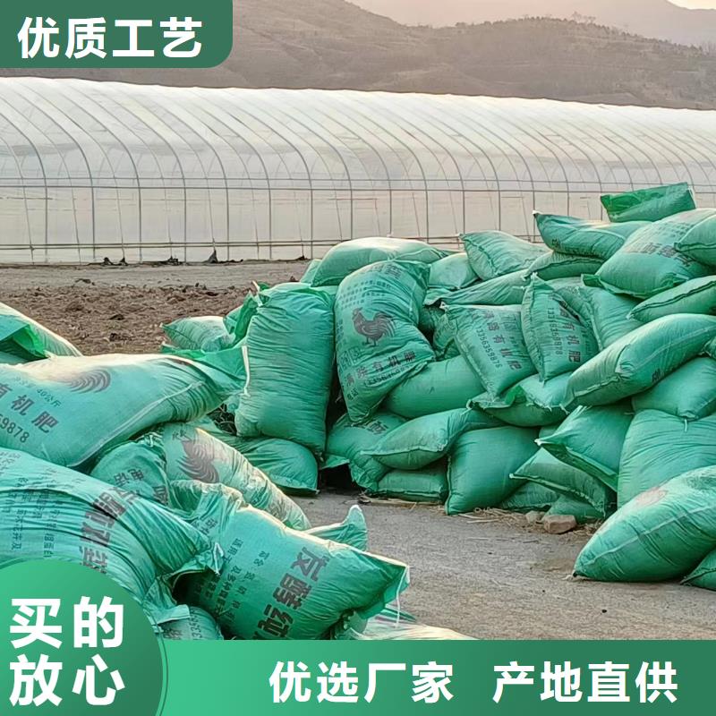 發(fā)酵雞糞可以做底肥