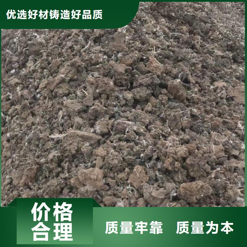 發(fā)酵雞糞土壤專家說好
