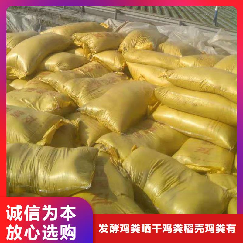 发酵羊粪菜农必看