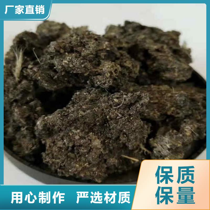 曬干雞糞行情
