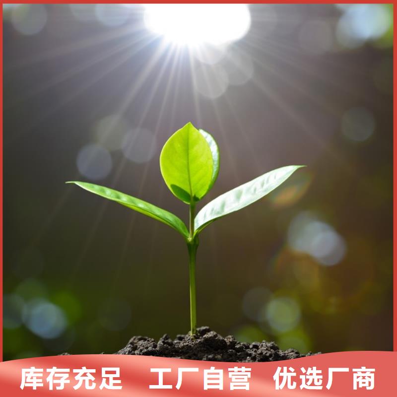 稻壳鸡粪图片