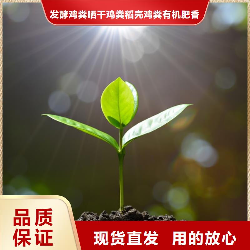 干鸡粪块供应