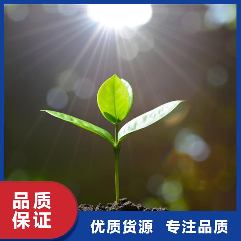 肥水雞糞非這家莫屬