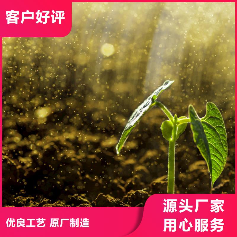 鸡粪有机肥欢迎咨询
