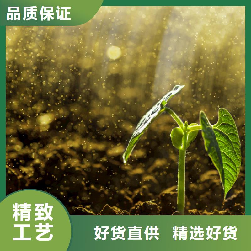干雞糞肥效不賴(lài)