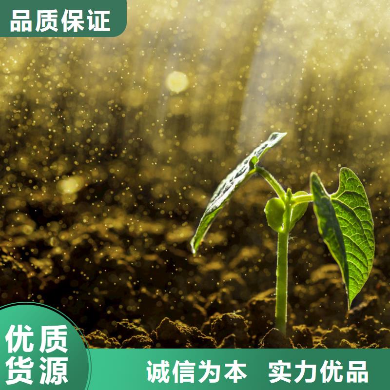 發(fā)酵雞糞平衡施肥
