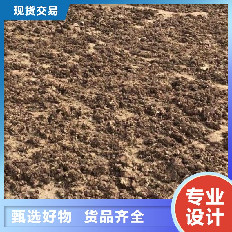鸡粪有机肥需求代理商