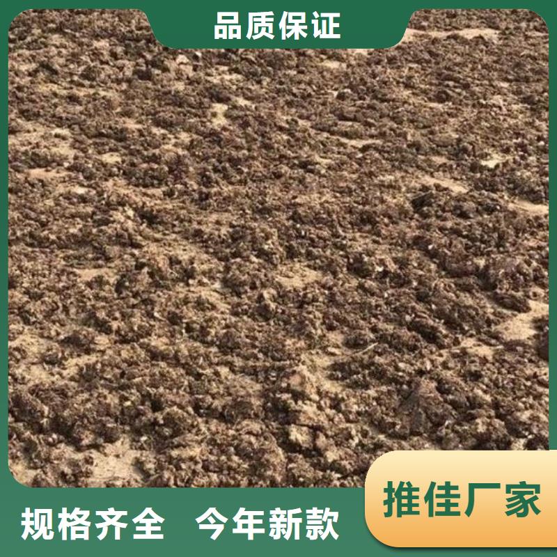 曬干雞糞提高產(chǎn)量
