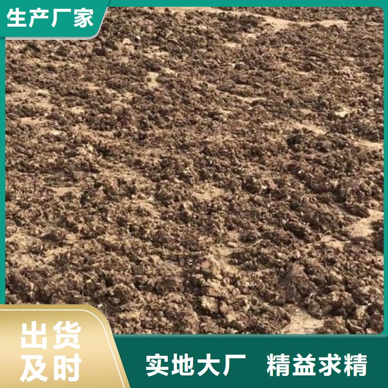 晒干鸡粪肥沃良田