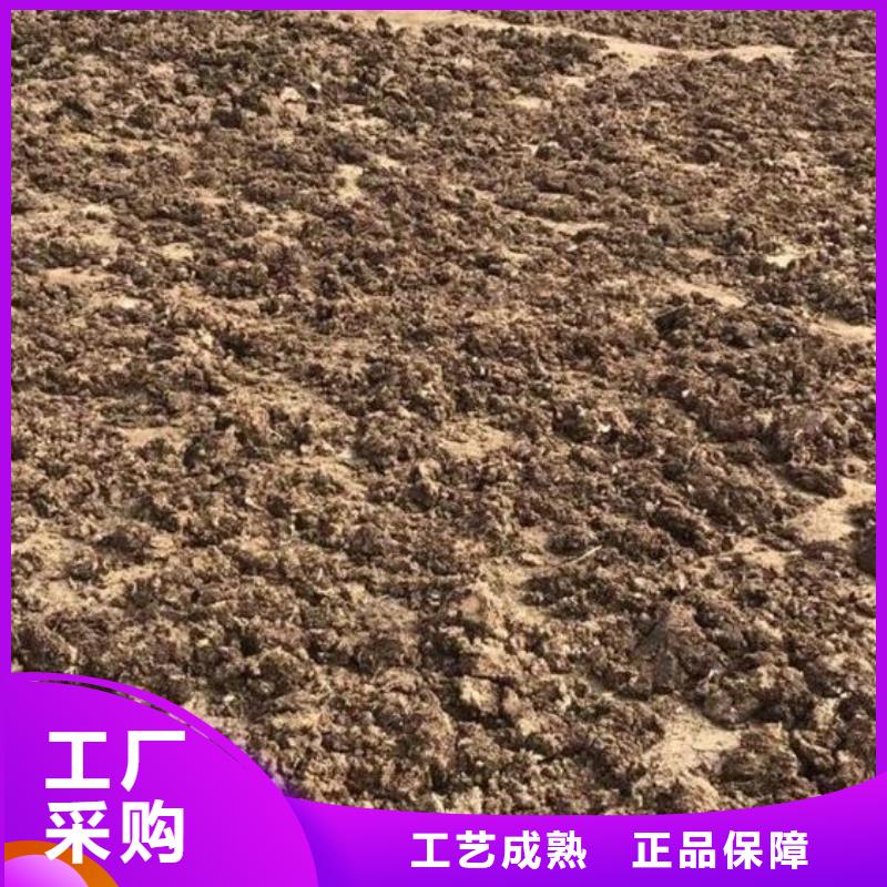 曬干雞糞質(zhì)量好