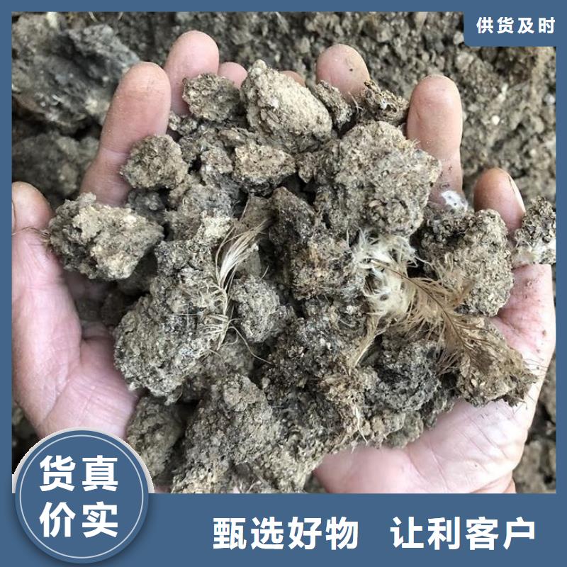 曬干雞糞多少錢(qián)一袋