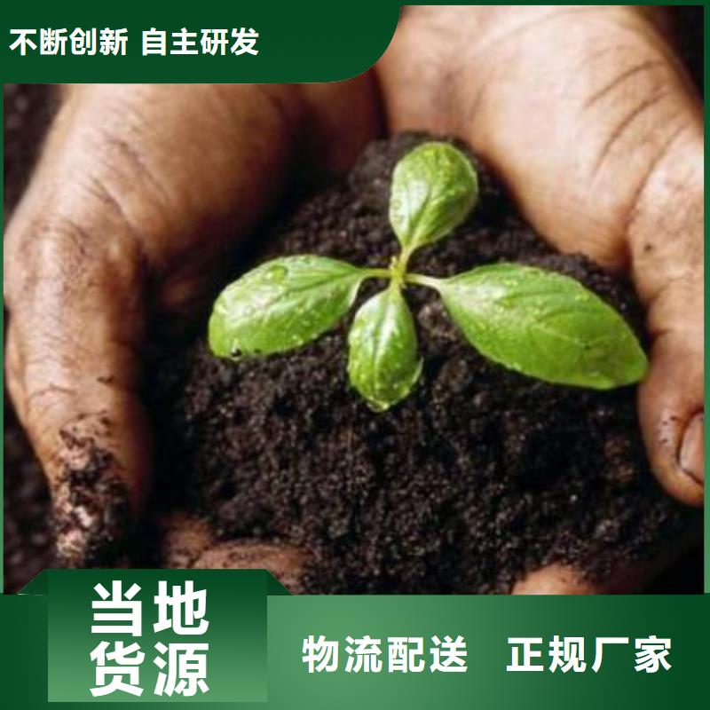 有机肥苗木绿化施肥好