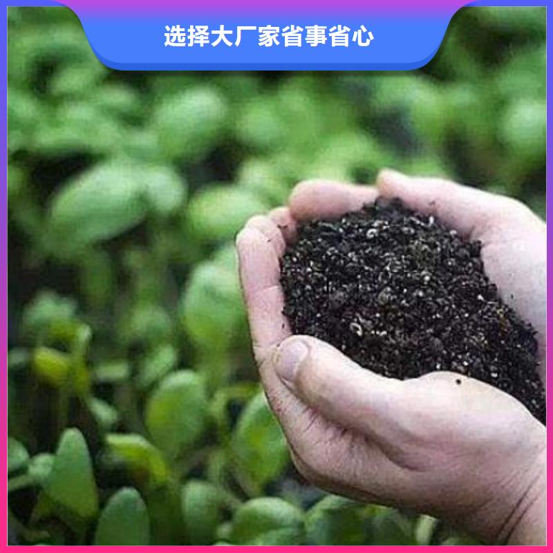 曬干雞糞破除土壤板結(jié)