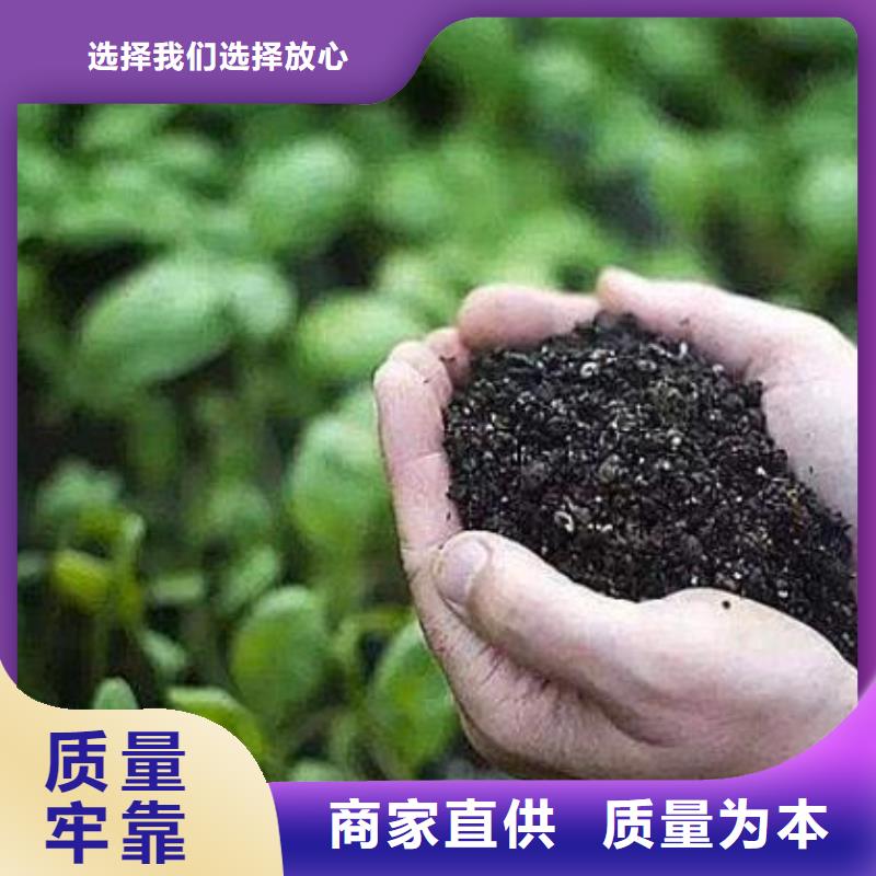 稻殼雞糞發(fā)貨方便