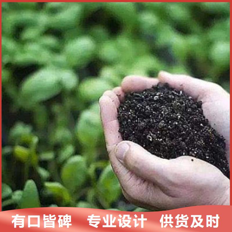 有机肥苗木绿化施肥好