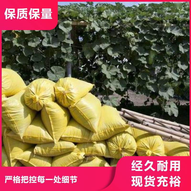 干雞糞咋用