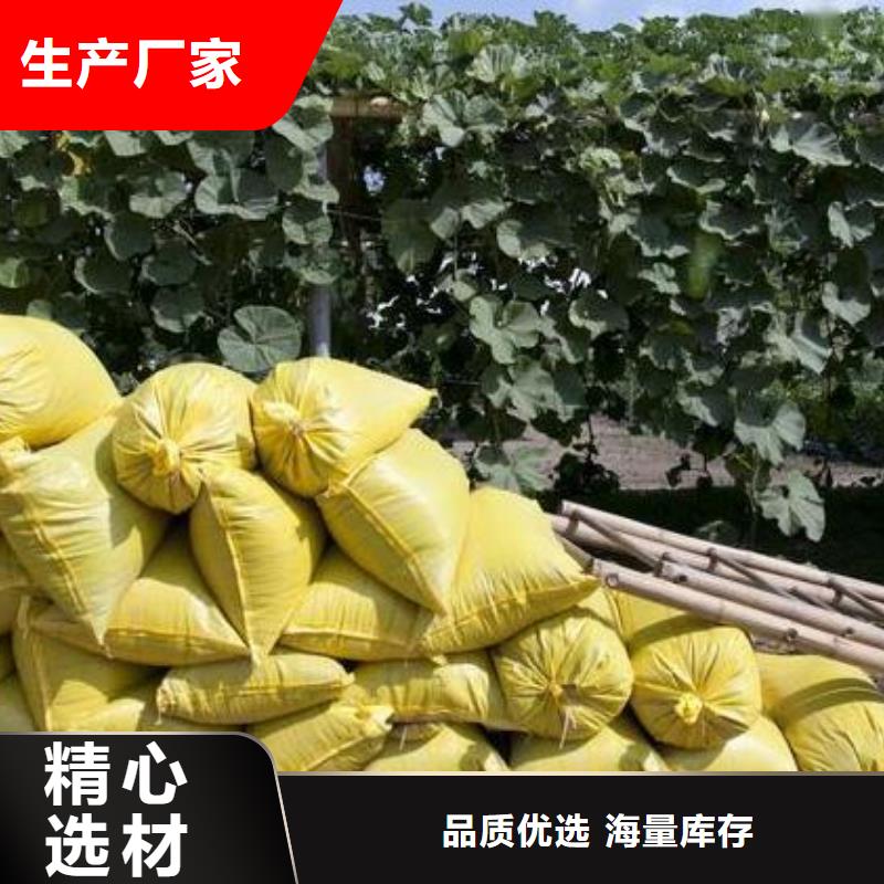 曬干雞糞破除土壤板結(jié)