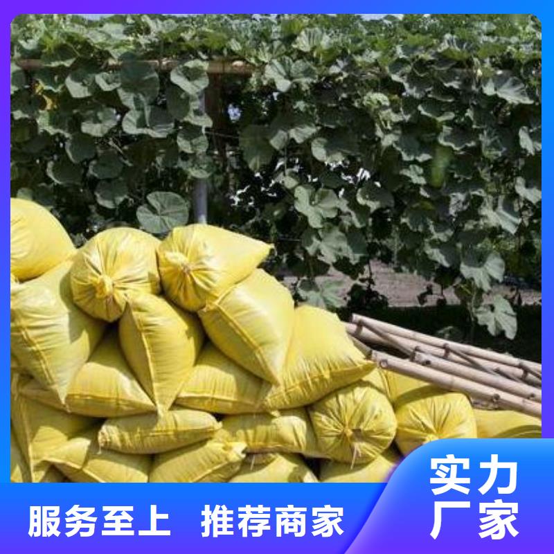 干雞糞塊活化土壤