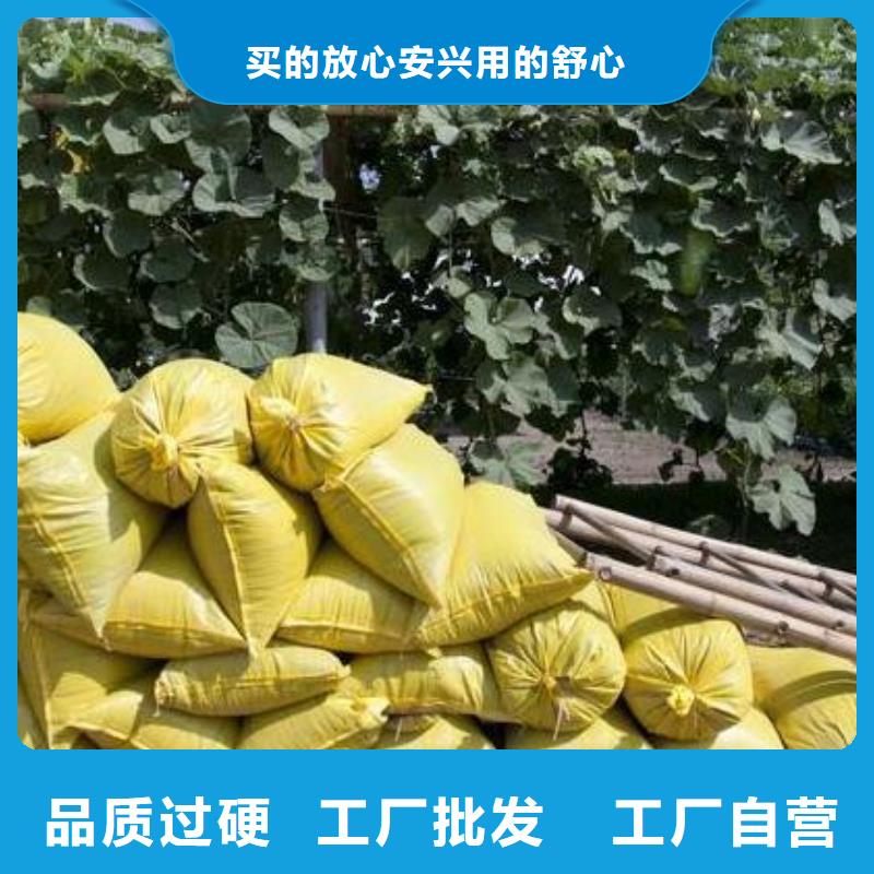 曬干雞糞行情