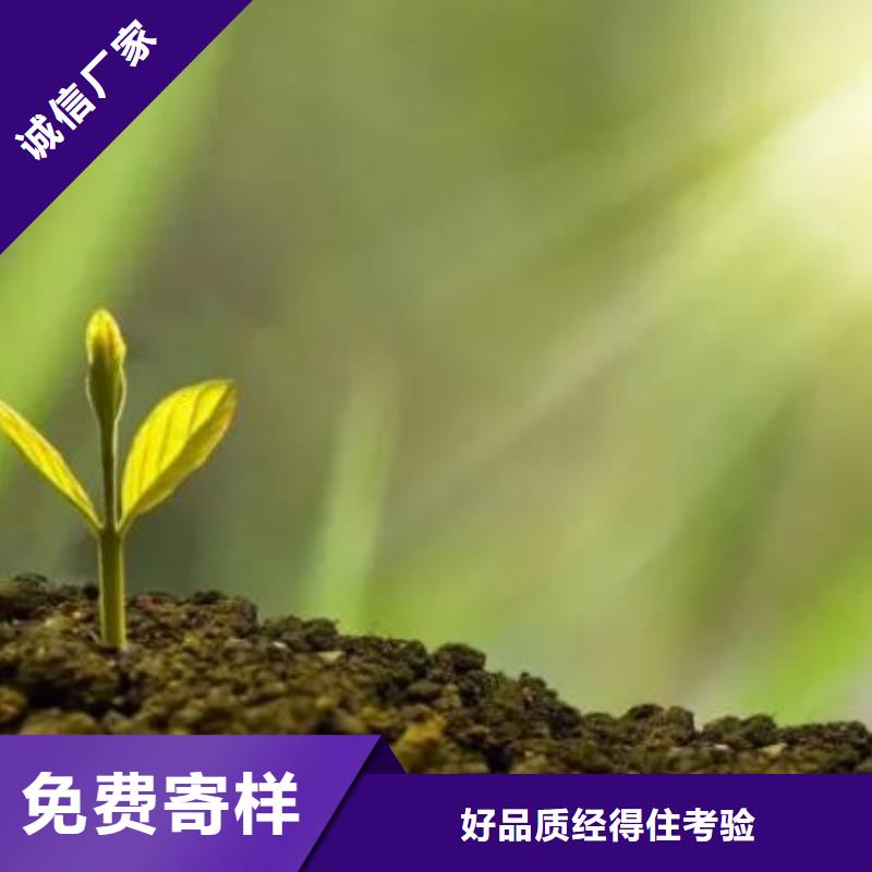 干雞糞塊活化土壤