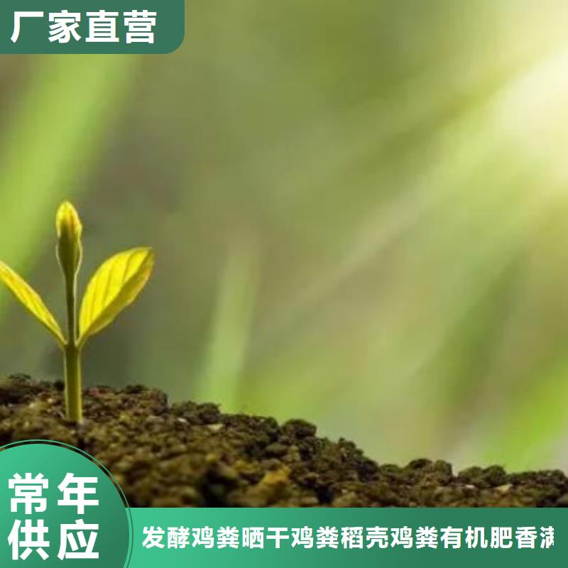 曬干雞糞破除土壤板結(jié)