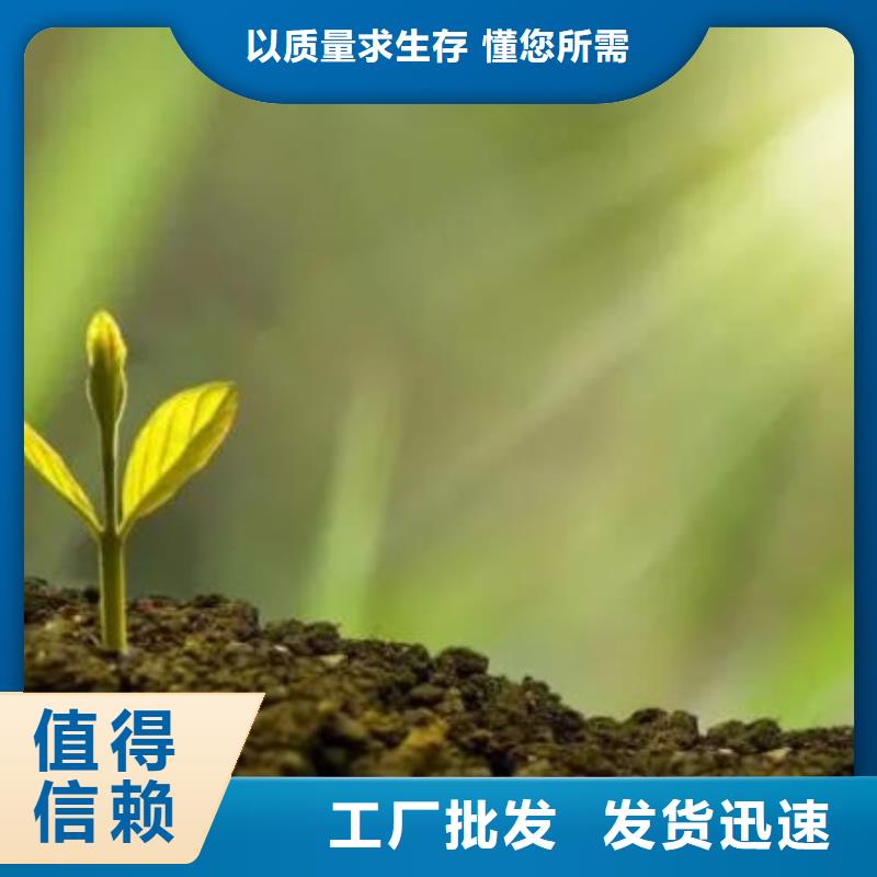 稻殼雞糞肥田壯苗