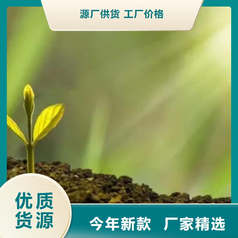 稻殼雞糞發(fā)貨方便