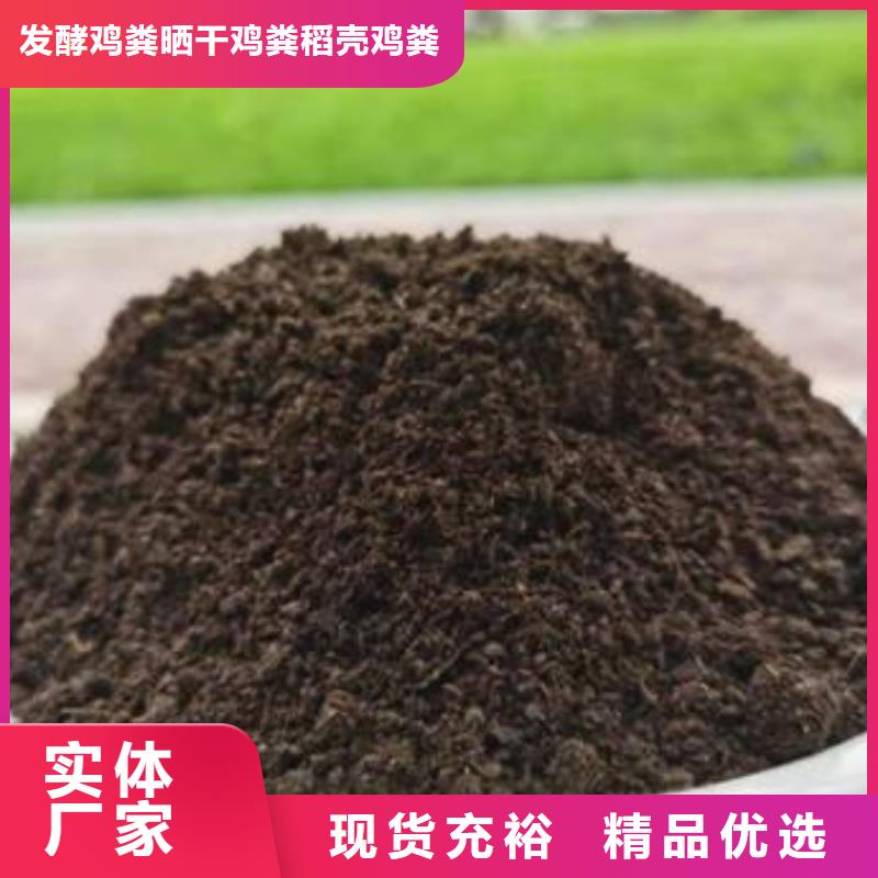稻殼雞糞肥田壯苗