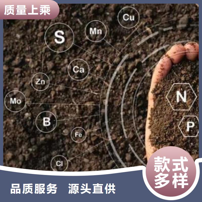 稻殼雞糞肥田壯苗