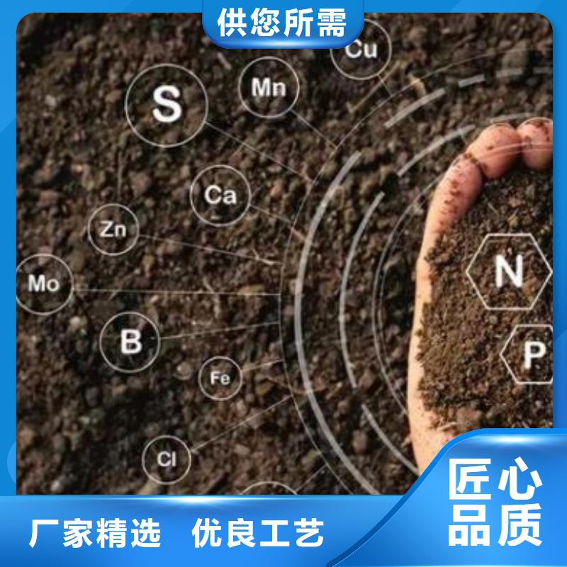稻殼雞糞肥田壯苗
