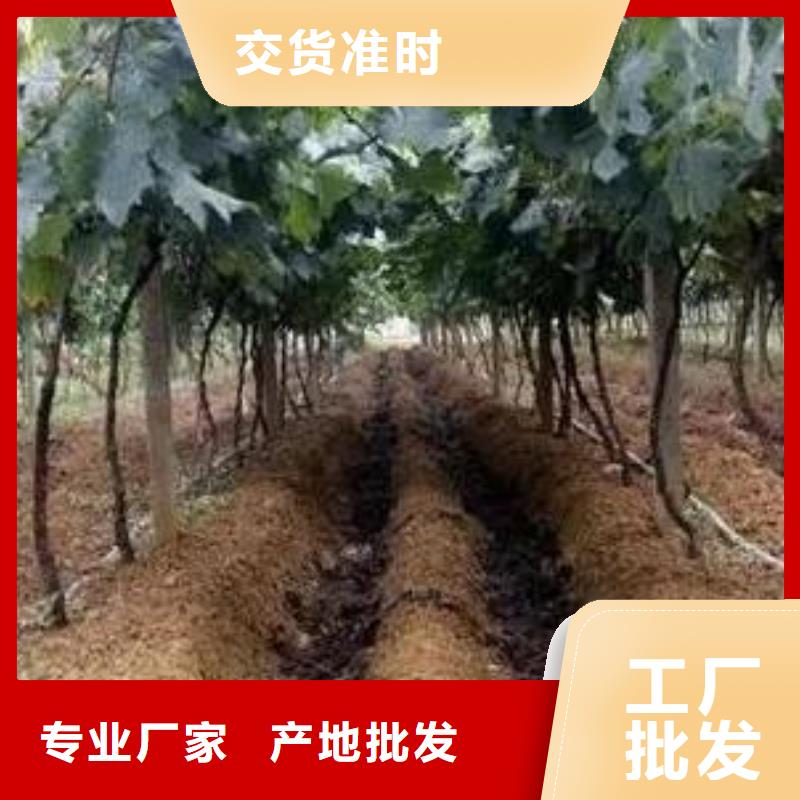 雞糞有機(jī)肥從哪里發(fā)貨