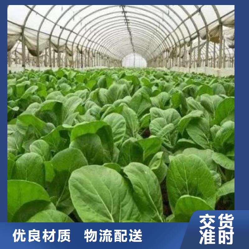稻殼雞糞肥田壯苗