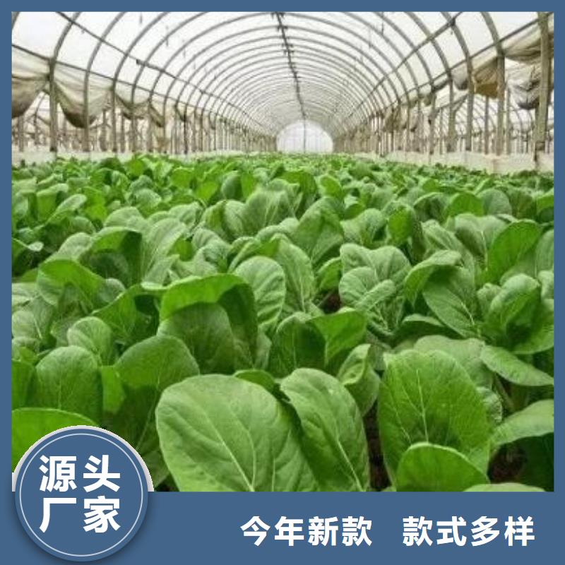 佛山石灣街道干雞糞土壤肥力