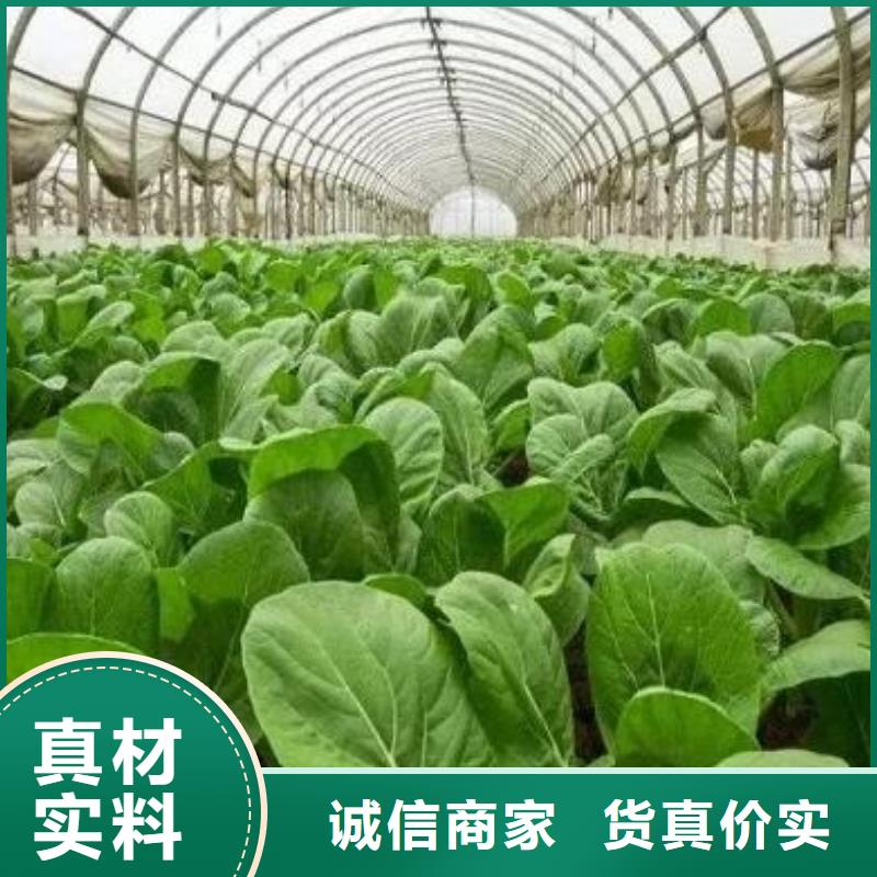 有机肥多少钱一吨