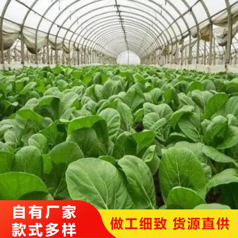 發(fā)酵雞糞肥沃土壤