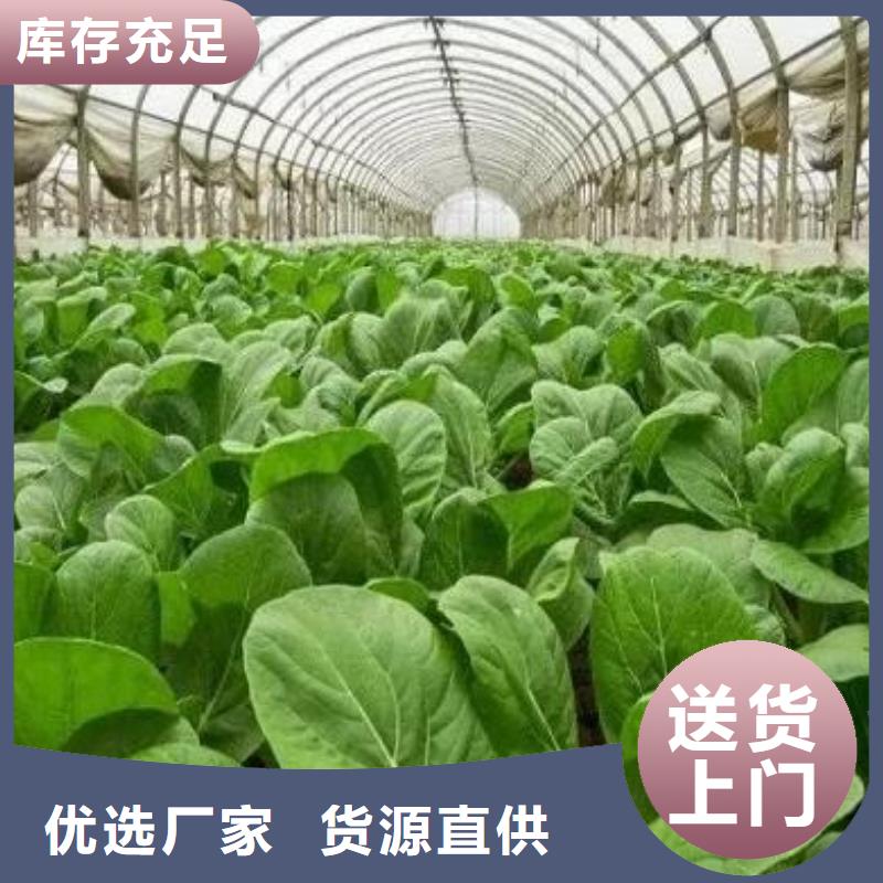 發(fā)酵雞糞肥沃土壤