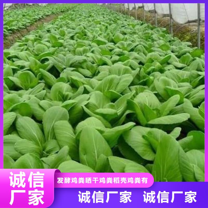 有机肥多少钱一吨