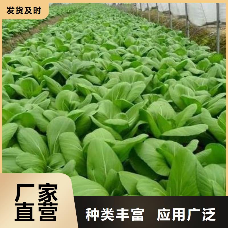 稻殼雞糞發(fā)貨方便