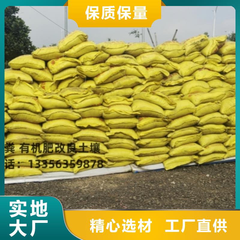 干雞糞咋用