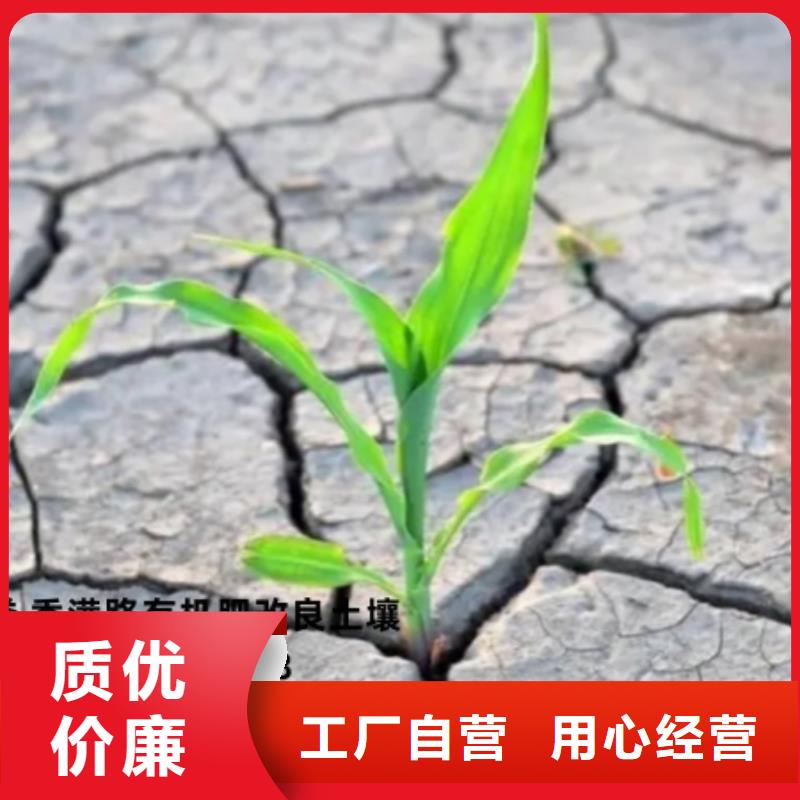 肥水鸡粪减少环境污染