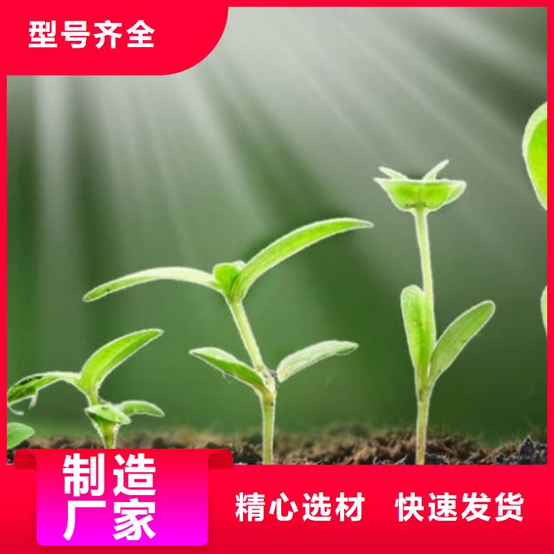 鸡粪施肥方法