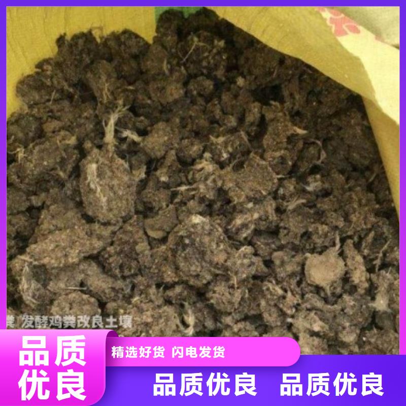 发酵羊粪补充养分