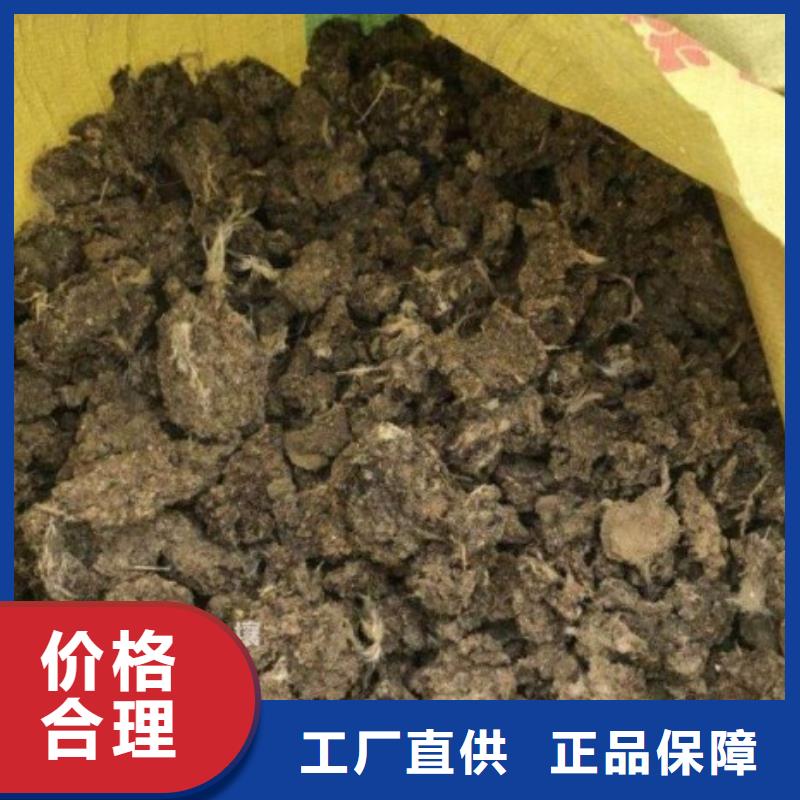 晒干鸡粪生产基地