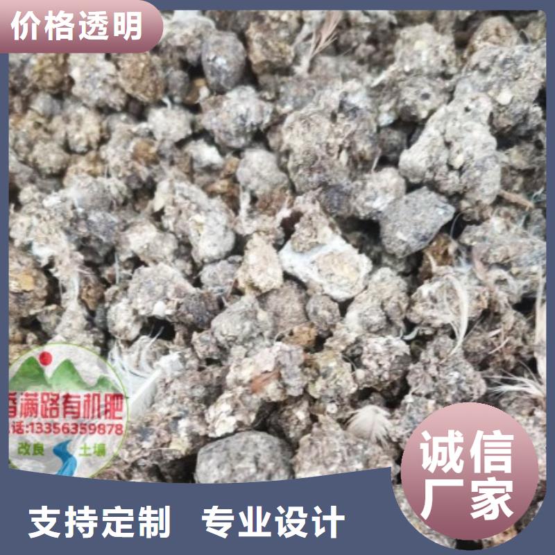 发酵羊粪增加大姜产量